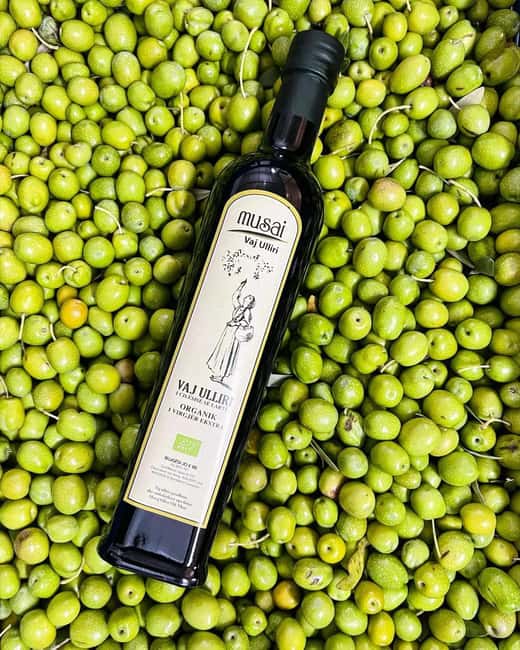 Musai Olive Oil Tour and Tasting - The Mill Tour: From Olives to Oil Without the Guesswork