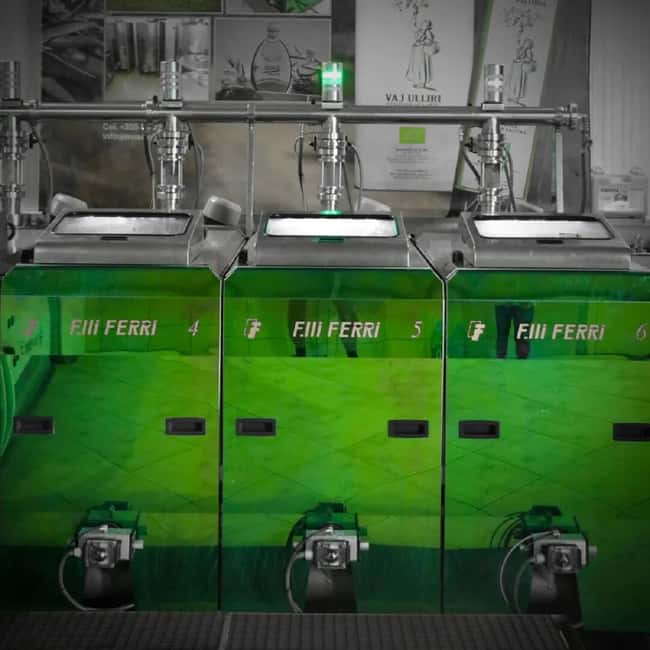 Musai Olive Oil Tour and Tasting - The Guided Tasting: Learn to Taste Like You Mean It