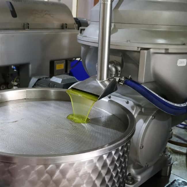 Musai Olive Oil Tour and Tasting - Who This Tour Is Best For