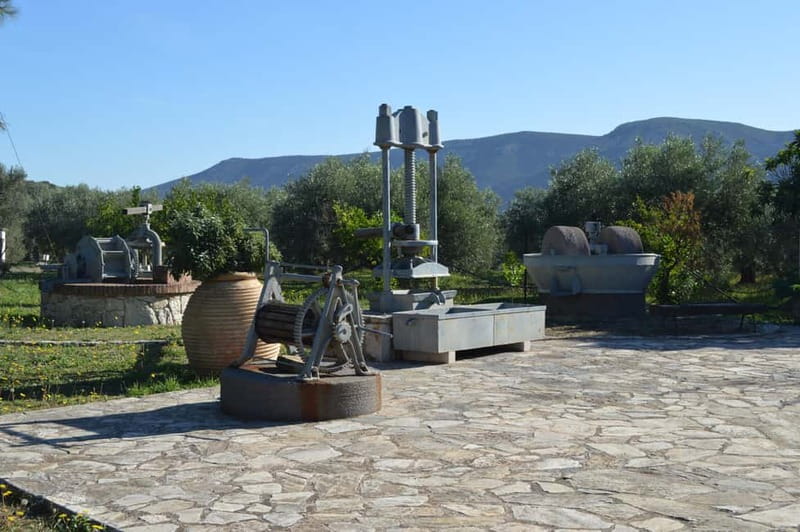 Nafplio: Olive Oil Estate Tour and Tasting - Inside the 1-hour guided tour with Mando