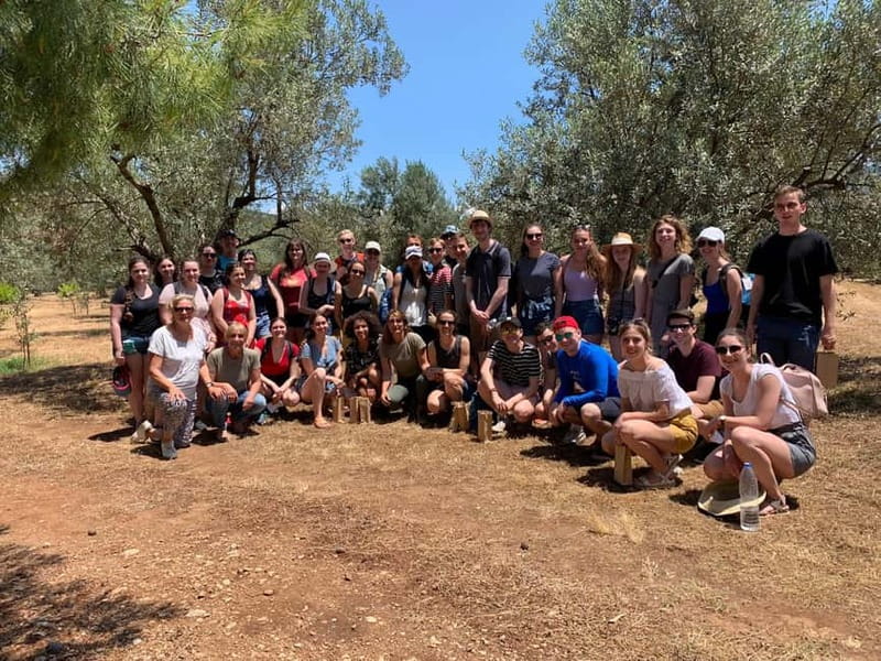 Nafplio: Olive Oil Estate Tour and Tasting - Price and value: Is $70 per person a good use of time?