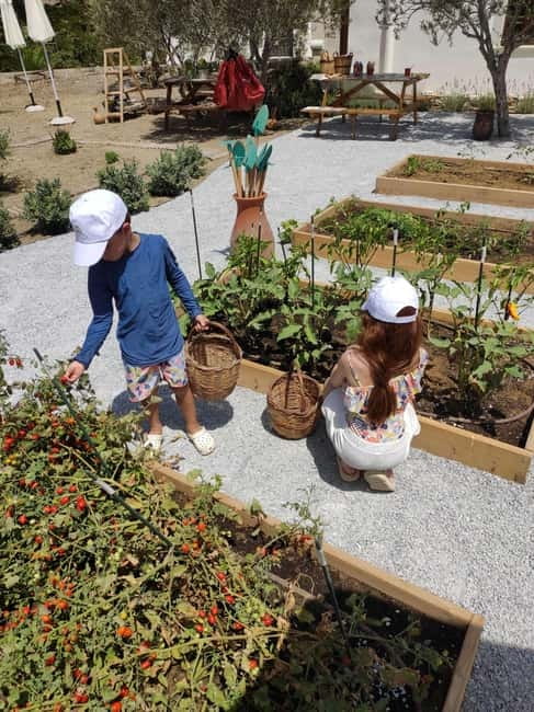 Naxos Town: Olive Oil Tasting & Baking in the Heart of Town - Indoors, Air-Conditioned, and Built for Comfort