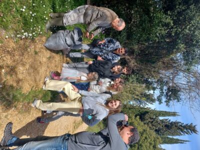 North Corfu: Olive Tour with Olive Oil Tasting and Mezze - Walking the olive grove ecosystem (and why it isn’t just a stroll)