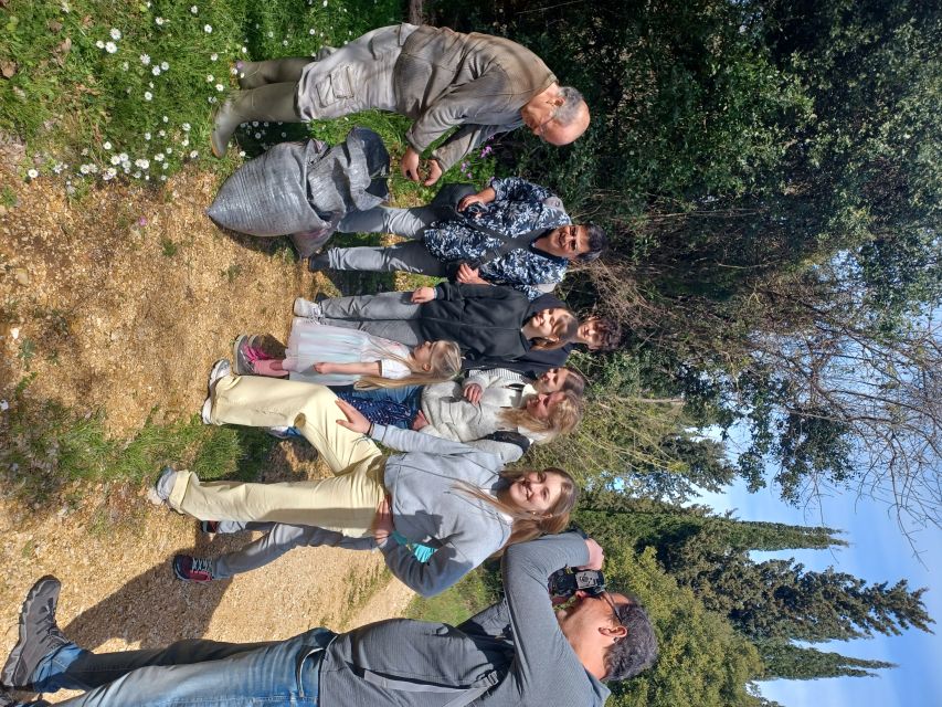 North Corfu: Olive Tour with Olive Oil Tasting and Mezze - Walking the olive grove ecosystem (and why it isn’t just a stroll)