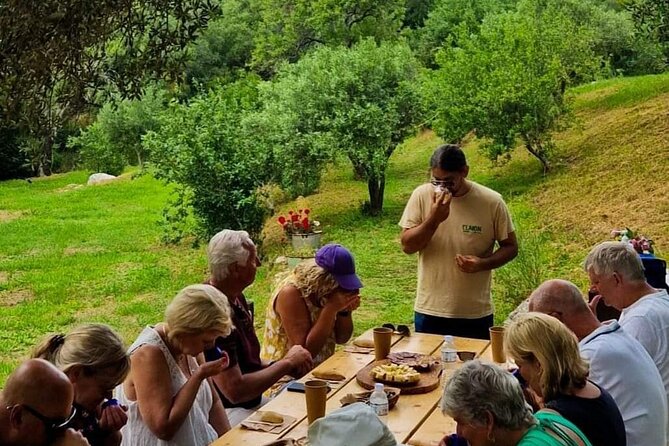 North Corfu Olive Tour With Olive oil Tasting & Meze - Price and Value: What $74.98 Gets You (and Why It’s Not Just a Sip-and-Snack)