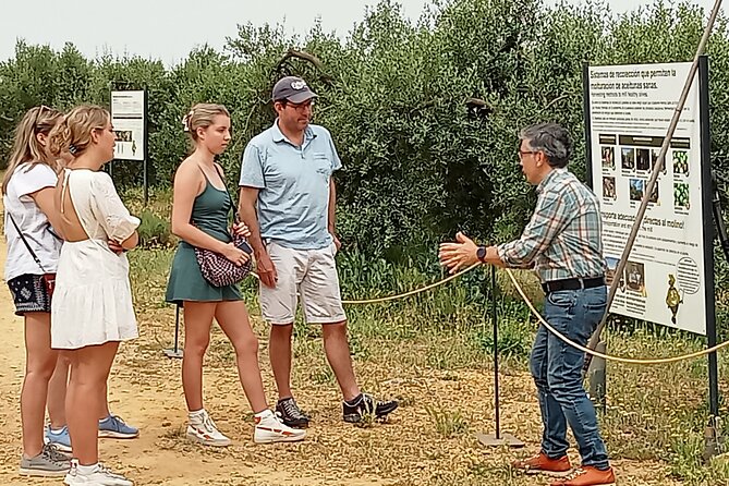 Oleotourism and olive oil tasting in Seville - Private tour - Key highlights worth showing up for