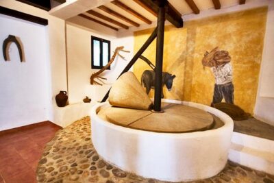 Oleotourism and olive oil tasting in Seville - Private tour - Stop 1 at Hacienda Guzmán: the mill, the history, and the contrast you’ll feel