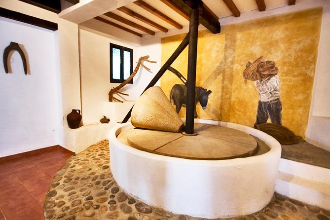 Oleotourism and olive oil tasting in Seville - Private tour - Stop 1 at Hacienda Guzmán: the mill, the history, and the contrast you’ll feel
