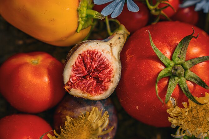 Olive farm & village - Key Highlights