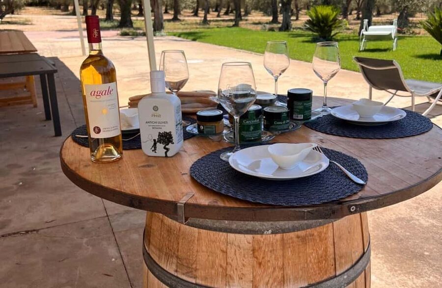 Olive Mill Tour with Olive Oil Tasting in Sassari - What to wear, how to prepare, and how to get the most out of it