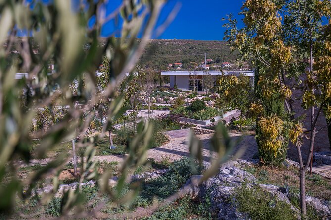 Olive museum Klis with educational olive oil tasting - Concept store sampling: gastro delicacies and natural cosmetics
