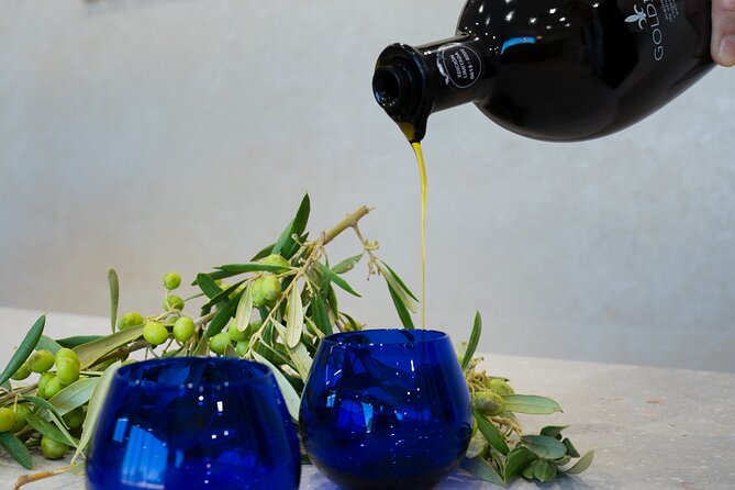 Olive Oil and Winery Tour from Zaragoza City - Key highlights you’ll feel right away