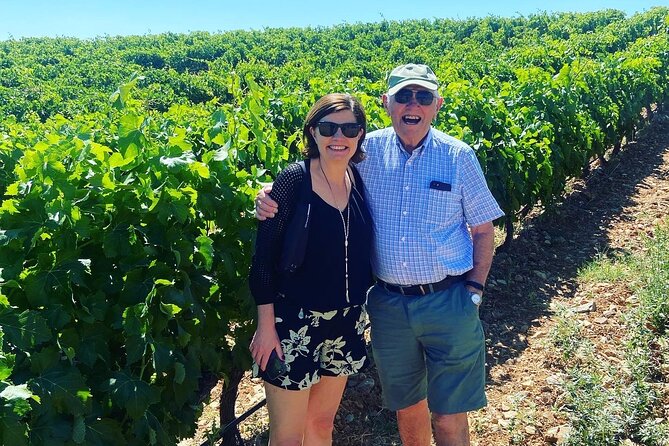 Olive Oil and Winery Tour from Zaragoza City - From Zaragoza to Belchite: why this route works