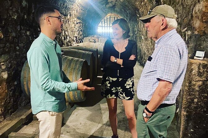Olive Oil and Winery Tour from Zaragoza City - Price and value: is $177.52 a fair deal?