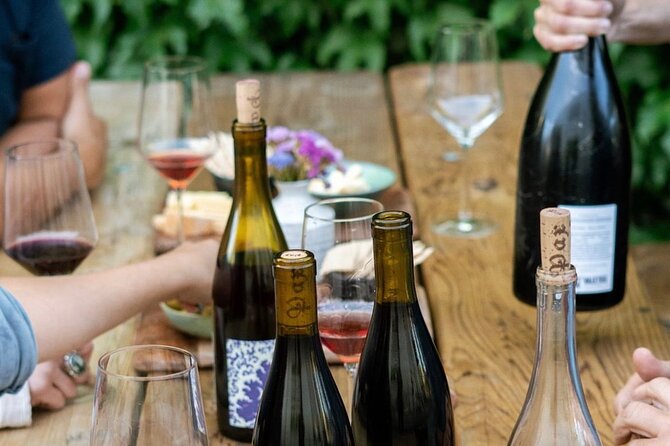 Olive Oil, Cheese, and Wine Tasting with Local Expert - Northern California Wine Flight Without the Pretend