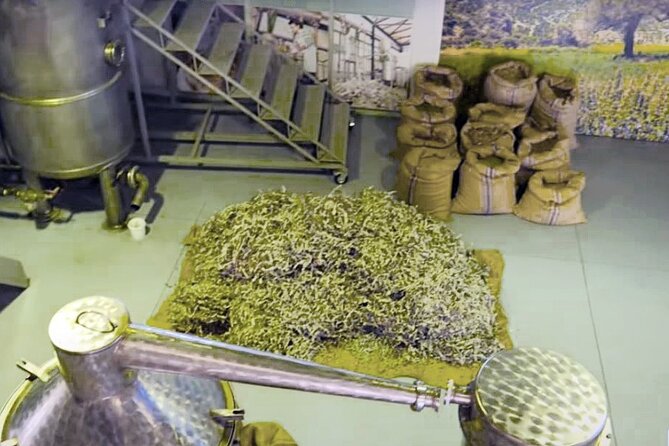 Olive Oil Cosmetic Factory- Spinalonga - Elounda - Agios Nikolaos - Spinalonga by boat: the fortified-island stop you plan around