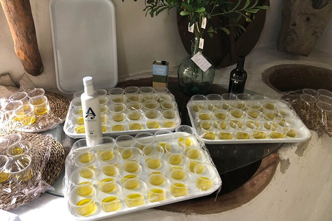Olive Oil Excursion to an olive mill in the Lecrín Valley - Learning the production steps: turning facts into understanding