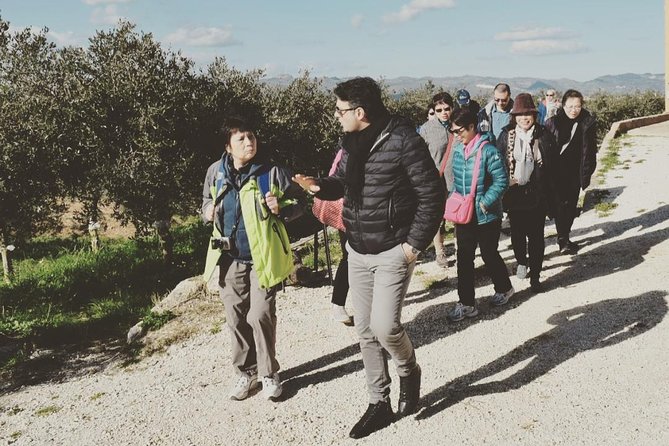 Olive Oil Experience - The Montevago setting: rural Agrigento with a purpose