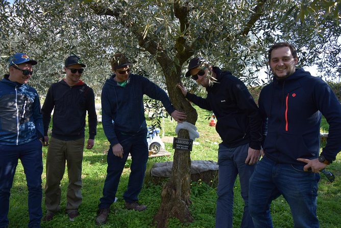 Olive Oil Experience - Lunch in the olive grove: Sicilian starters and busiate pasta