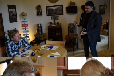 Olive Oil Experience - The olive grove walk: cultivation, quality controls, and harvesting simulation