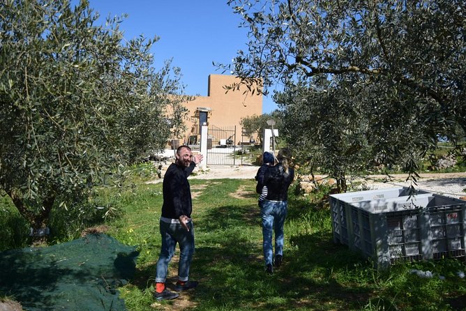 Olive Oil Experience - Who should book this olive oil experience (and who might not)