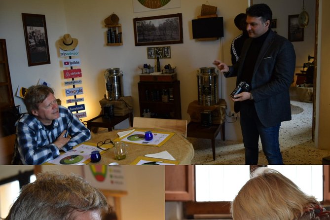 Olive Oil Experience - The olive grove walk: cultivation, quality controls, and harvesting simulation