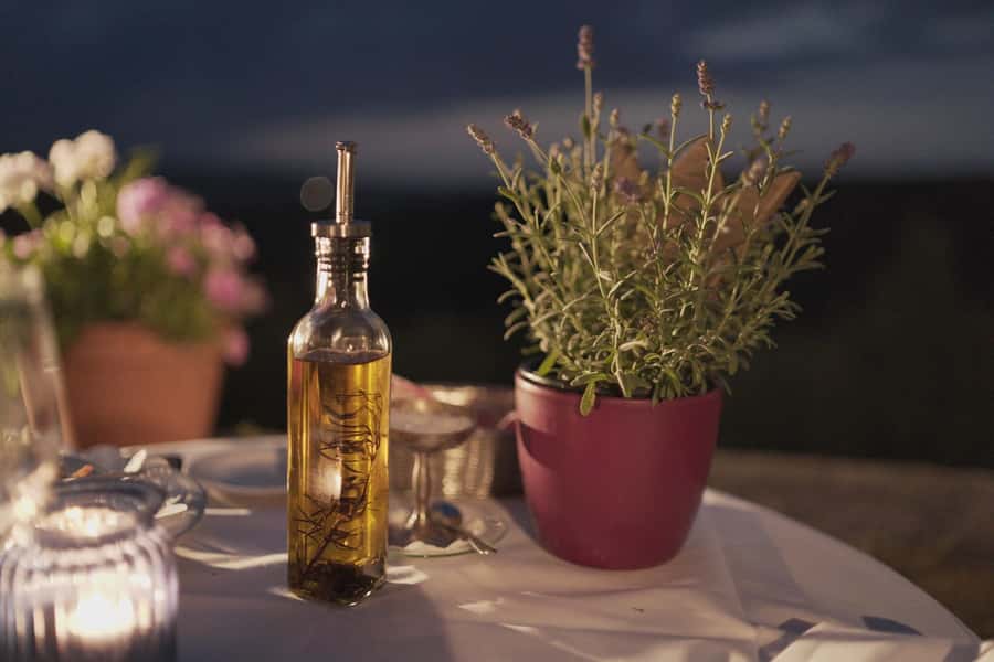 Olive Oil Factory + Wineries + Full Asado Lunch (Full Day) - Centenario - Olivícola: learning olive oil by watching it get made