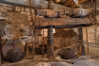 Olive oil farm to fork experience & short walking tour of Kotor - Kotor Old Town Walk With Lisette or Daniel: Short, Useful, Not Overlong