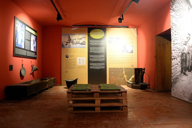 Olive Oil Guided Tasting and History in Pula - The Roman-to-today exhibit: why Pula’s oil story starts early