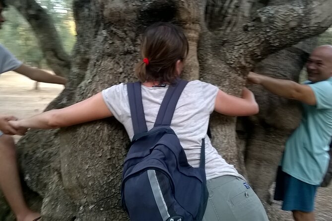 Olive Oil Mill experience and tasting in Salento with Guide - Meeting Marta: Trees, Quality, and the Biological Farm Story