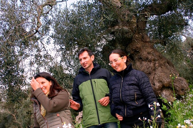 Olive Oil Mill experience and tasting in Salento with Guide - Pairing Olive Oil Like a Local: Delicacies and Cheese