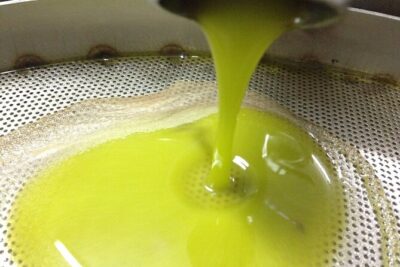 Olive Oil Mill experience and tasting in Salento with Guide - Inside the Mill: Where the Explanation Turns into Taste