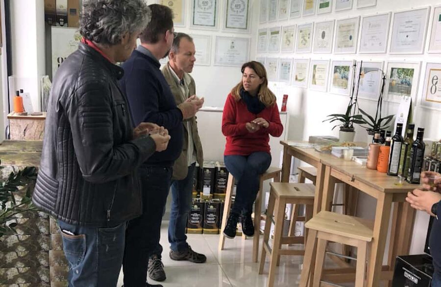 Olive Oil Mill Tour with Tasting near Molfetta & Bari - Why This Olive Mill Tour Makes Sense for Apulia