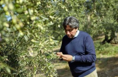 Olive Oil Mill Tour with Tasting near Molfetta & Bari - The 75-Minute Flow in Ciccolella: Where the Time Goes