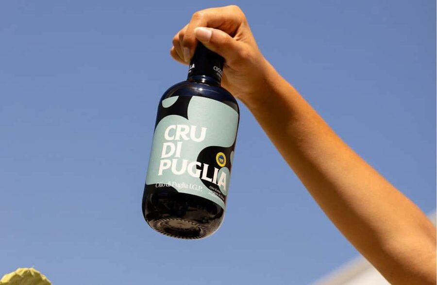 Olive Oil Mill Tour with Tasting near Molfetta & Bari - Price and Value: Does $42 Pay Off?