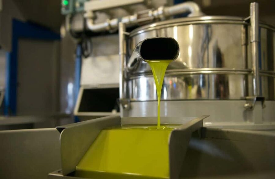 Olive Oil Mill Tour with Tasting near Molfetta & Bari - Practical Tips Before You Show Up in Ciccolella