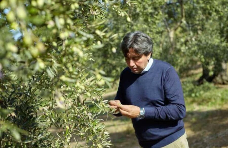 Olive Oil Mill Tour with Tasting near Molfetta & Bari - The 75-Minute Flow in Ciccolella: Where the Time Goes