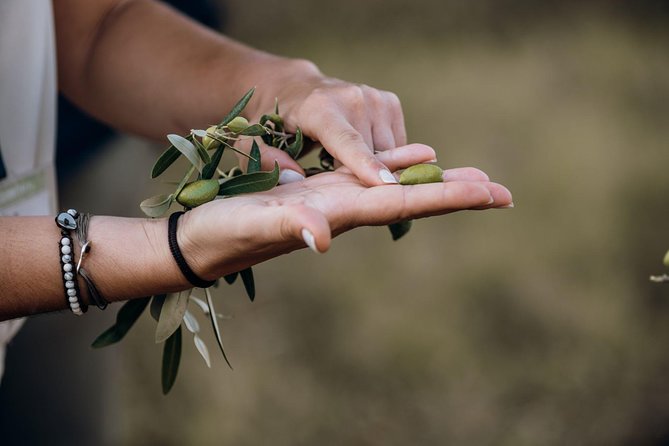 Olive oil Mill Visit & Olive oil tasting Experience - Time, pace, and what fits (and what doesn’t) in 1 hour 30