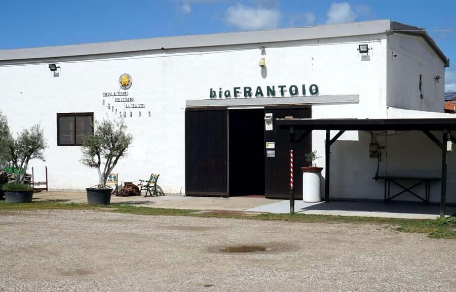 Olive Oil Museum: Extravirgin school - Food & wine tasting - A Lesson in Extra Virgin Olive Oil You’ll Use at the Store