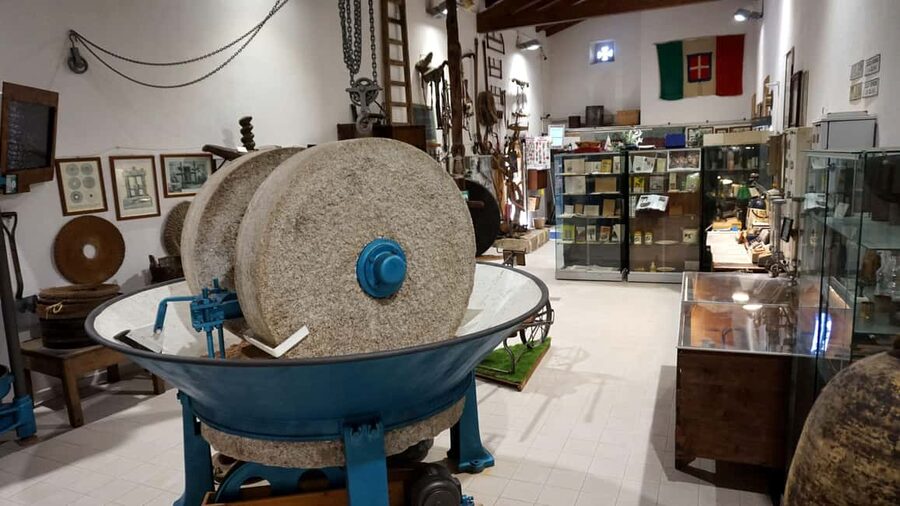 Olive Oil Museum: Extravirgin school - Food & wine tasting - A Quick Walk Through the Flow of Your Hour