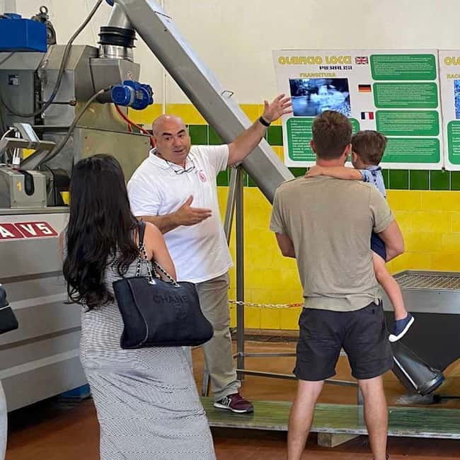 Olive Oil Museum: Extravirgin school - Food & wine tasting - What to Buy (and How to Decide Without Guessing)