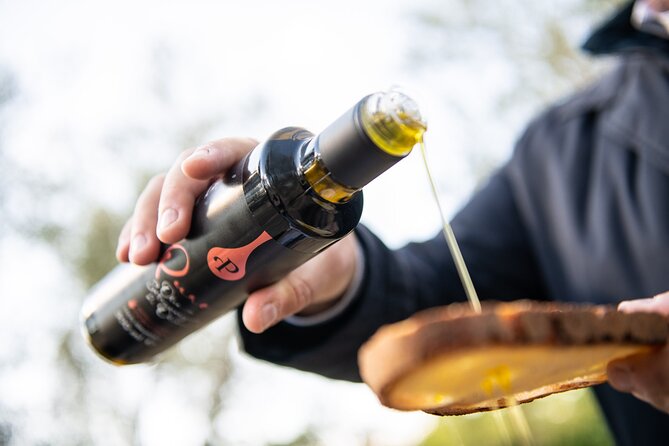 Olive Oil Private Tour and Extra Virgin Olive Oil Tasting in Altamura - Key highlights worth showing up for