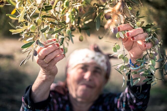 Olive Oil Private Tour in Portugal - Lunch in Olhão: seafood culture with olive oil, garlic, coriander