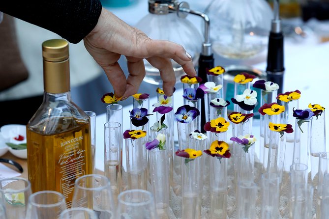 Olive Oil tasting breakfast & Tour in Cordoba - Key highlights to look forward to