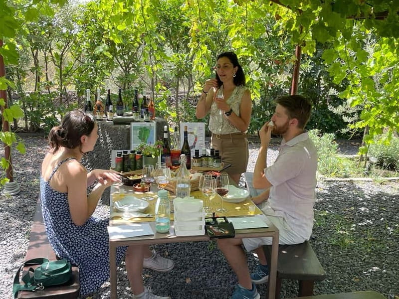 Olive Oil Tasting Experience in Nicolosi - The Vineyard and Olive Grove Walk (About 45 Minutes) Makes the Tasting Click