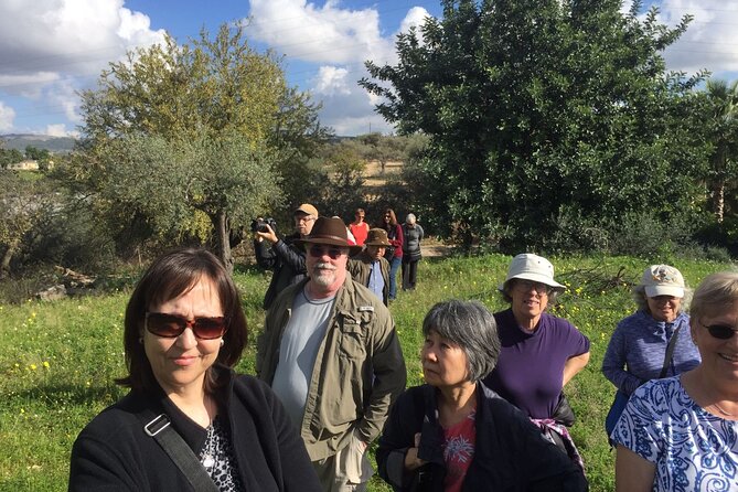 Olive Oil Tasting & Historic Olive Mill Tour in Ragusa area - Free premium tastings: how to compare without getting overwhelmed