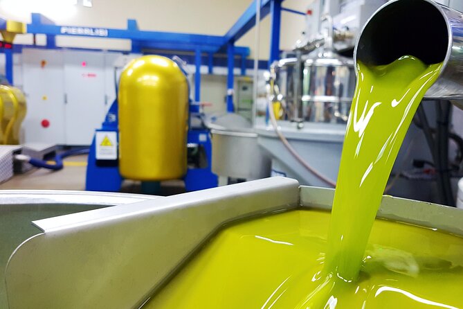 Olive Oil Tasting & Historic Olive Mill Tour in Ragusa area - Erbesso DOP Monti Iblei: professional tasting you can actually use