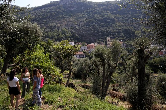 Olive oil tasting in Sorrento - The shopping part: how to buy (and when to say no)