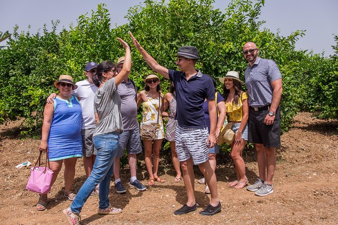 Olive oil tasting in Syracuse, Sicily - Evoo Tour - Inside the mill: the stages and techniques of EVOO