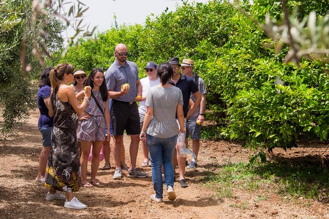 Olive oil tasting in Syracuse, Sicily - Evoo Tour - Tasting four local EVOOs: how to compare without getting lost